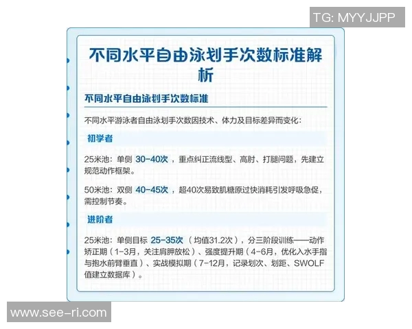 自由泳初学者必看技巧与训练方法帮助你快速提高游泳水平